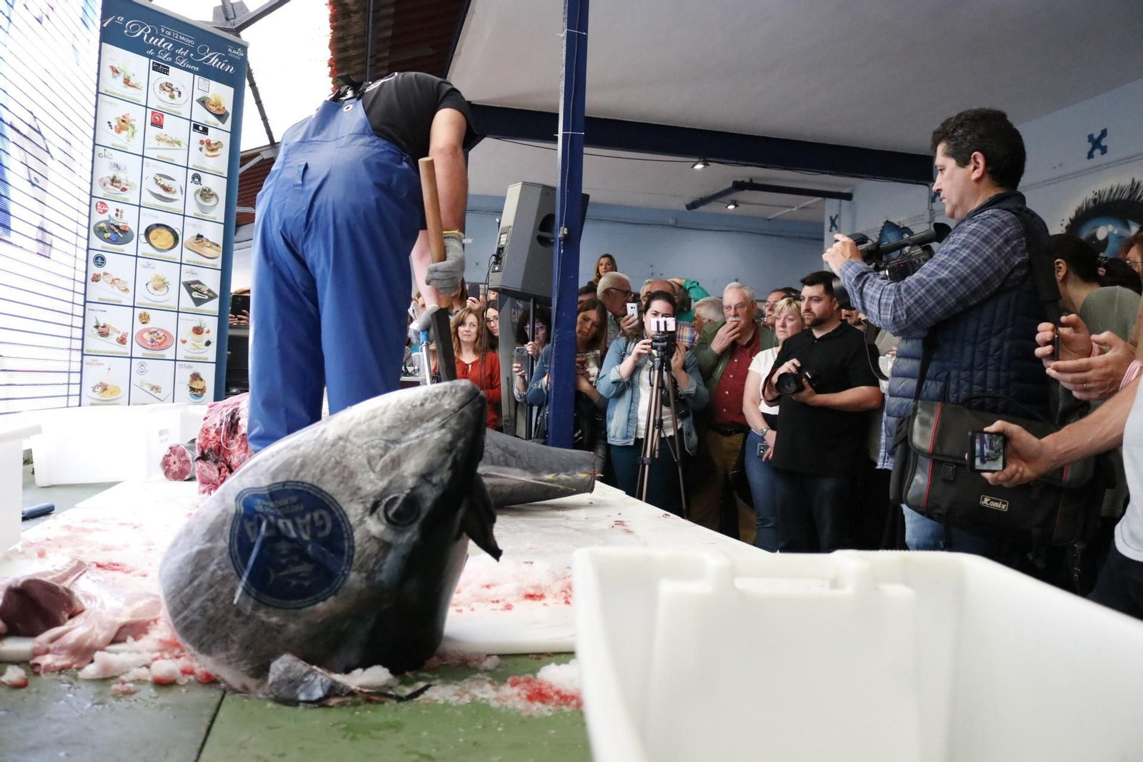 Las mejores fotos de la presentación de la Ruta del Atún en La Línea