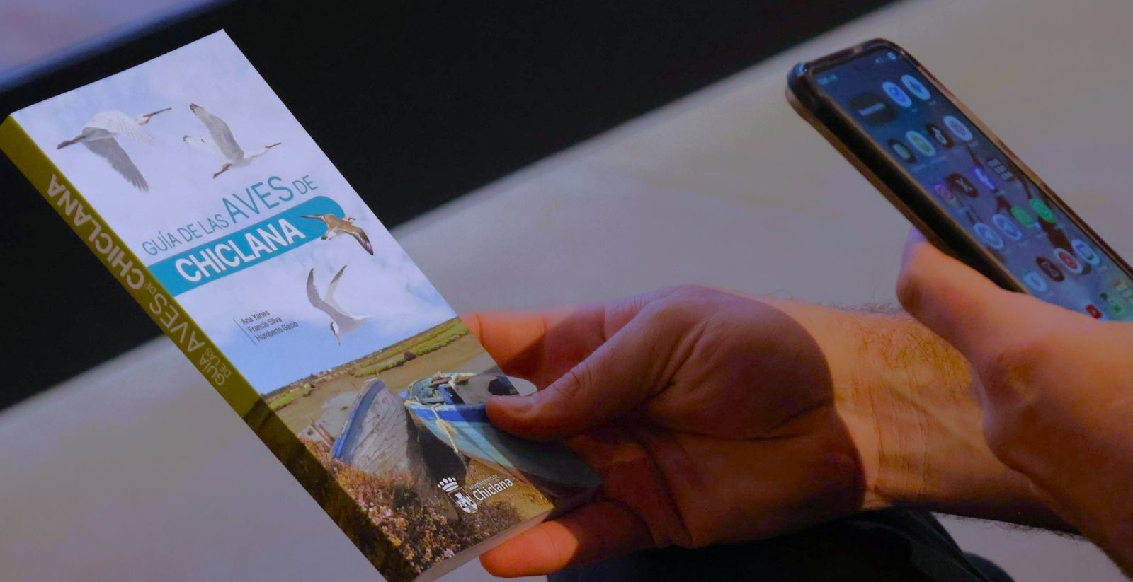 Guía de las Aves de Chiclana