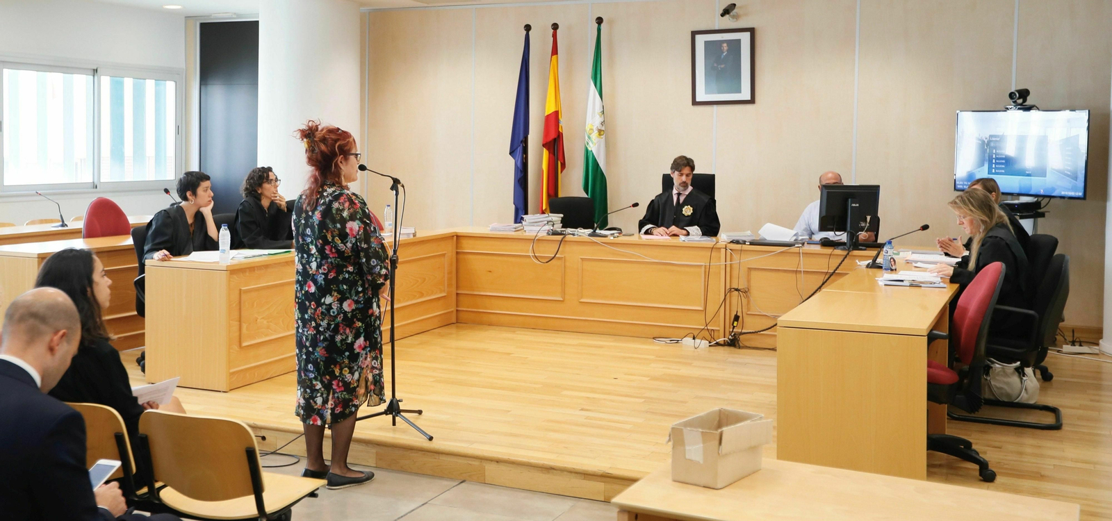 Un momento del juicio del "coño insumiso"