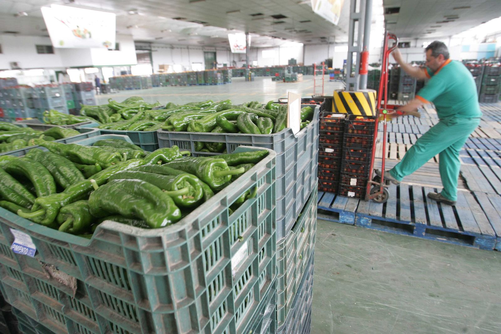 Almacén de Agrupaejido con pimientos