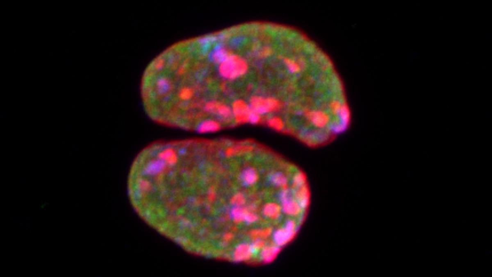 Imagen de las moléculas investigadas remitida por la UGR.