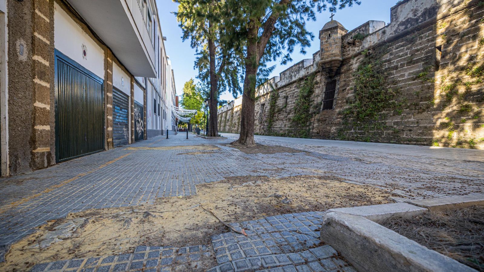 Otro manchón de tierra junto a un acerado levantado cerca de un alcorque.