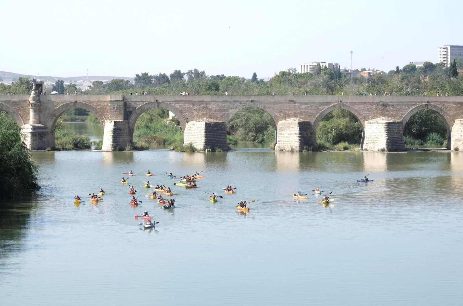 La ruta del caimán por el río Guadalquivir, en imágenes