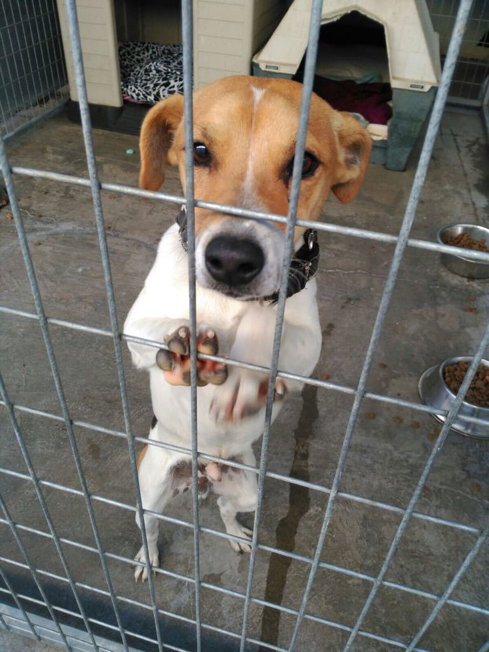 Uprocanes denuncia la pasividad del Equipo de Gobierno durante estos cuatro años.