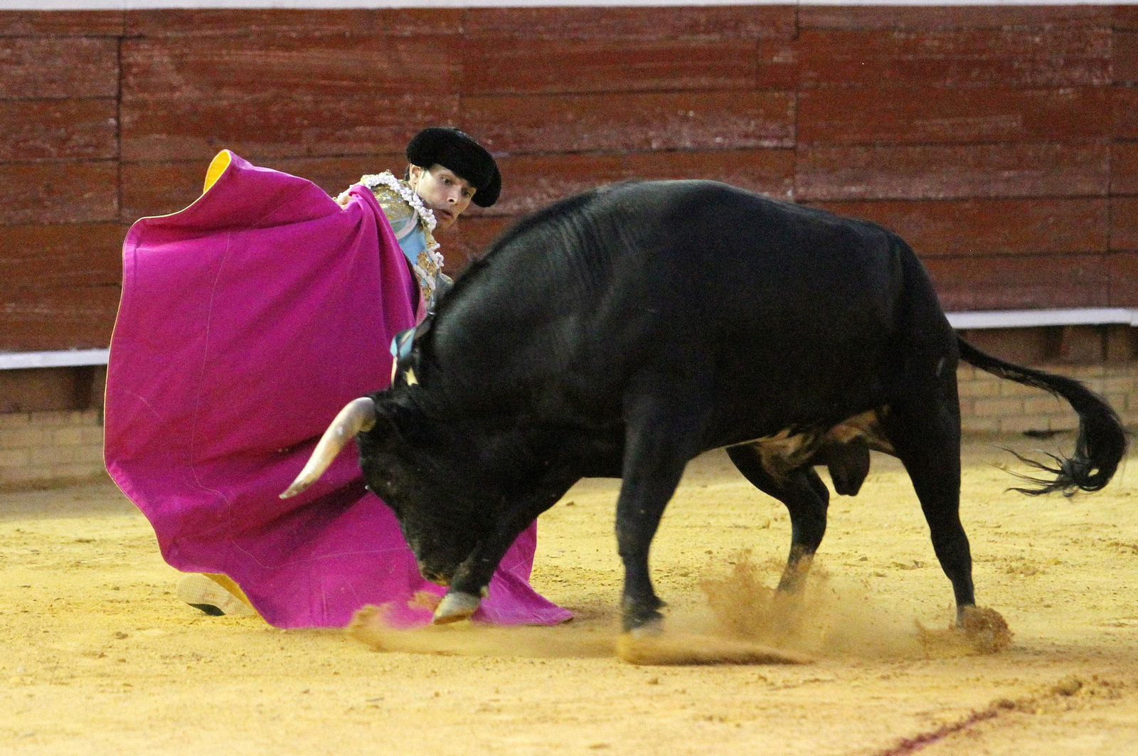 Juan Silva "Juanito" sale a hombros en la Plaza de toros La Merced, en imágenes