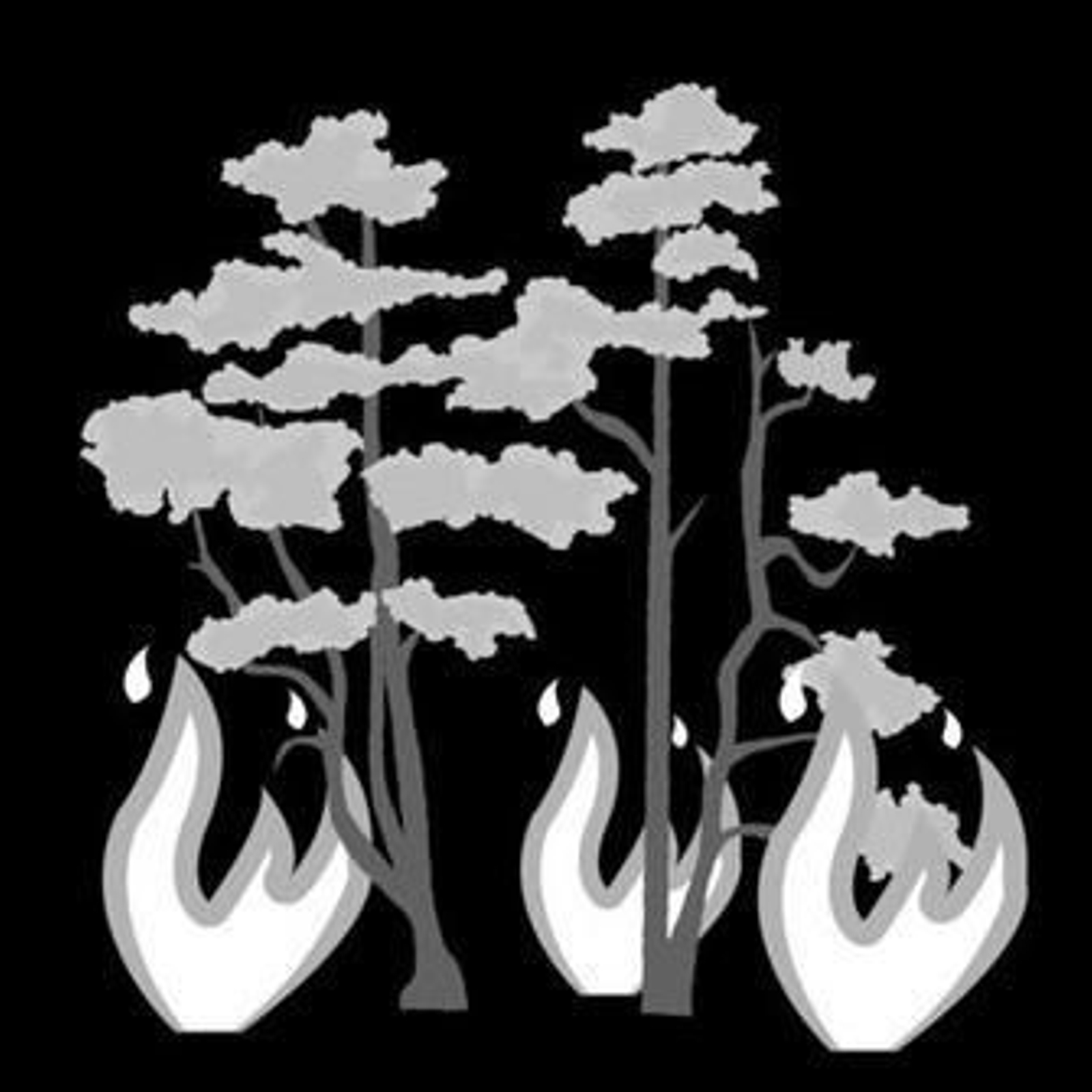 Un grupo de jinetes monta sobre unos caballos que tuvieron que ser desalojados el sábado.