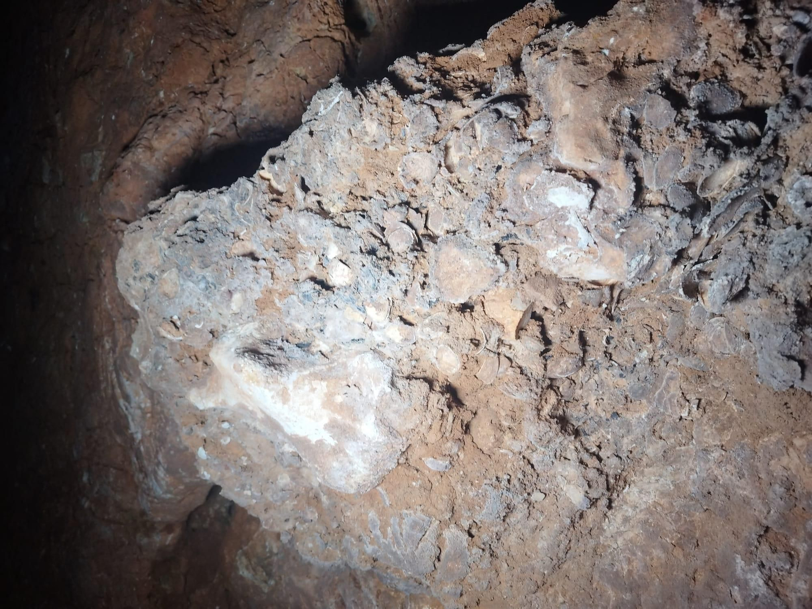 Así son las huellas humanas descubiertas en la Cueva del Tesoro de Rincón