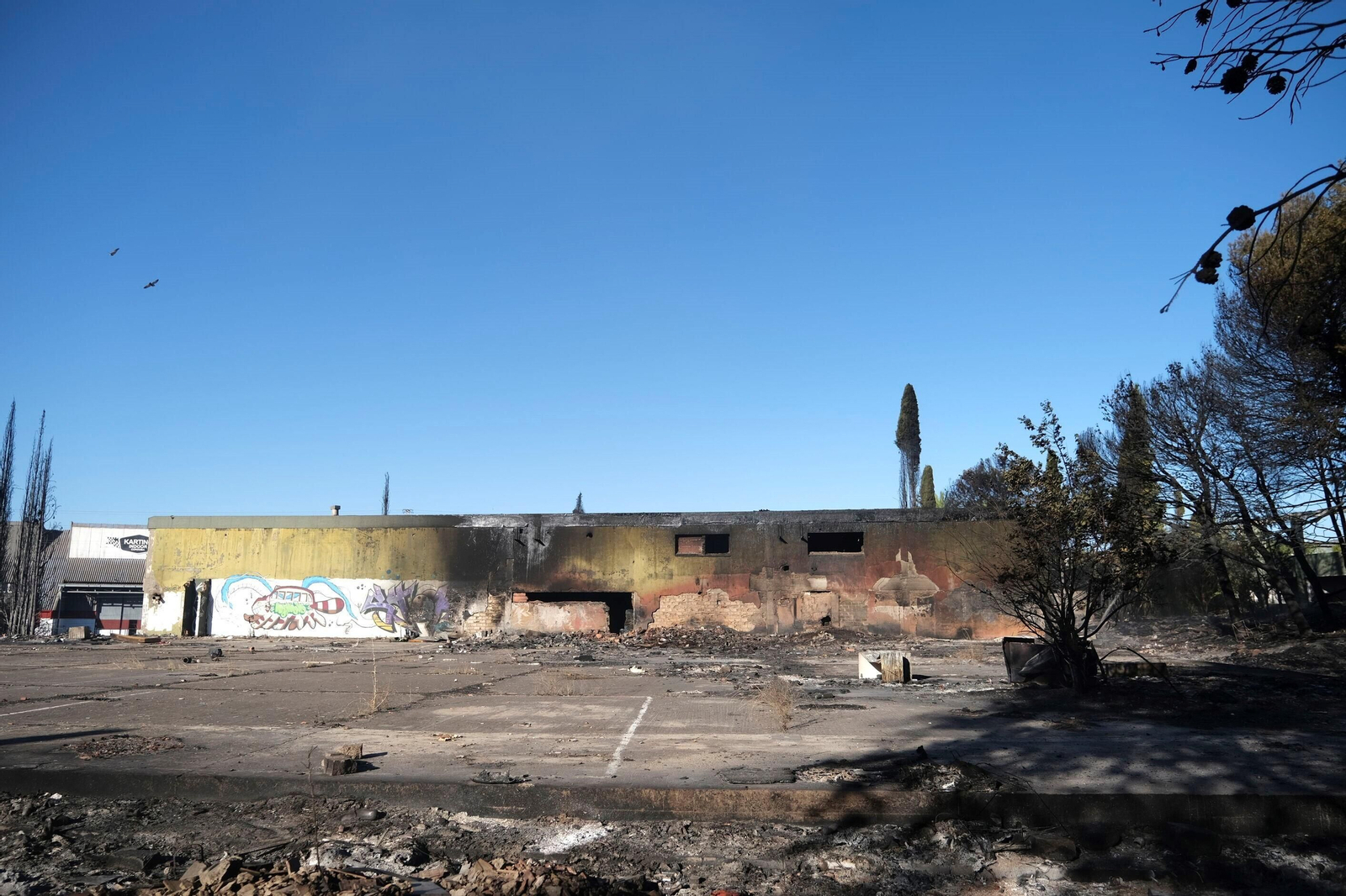 El día después del gran incendio de Chinales, en fotografías: rescoldos, humo y pérdidas El día después del gran incendio de Chinales, en fotografías: rescoldos, humo y pérdidas