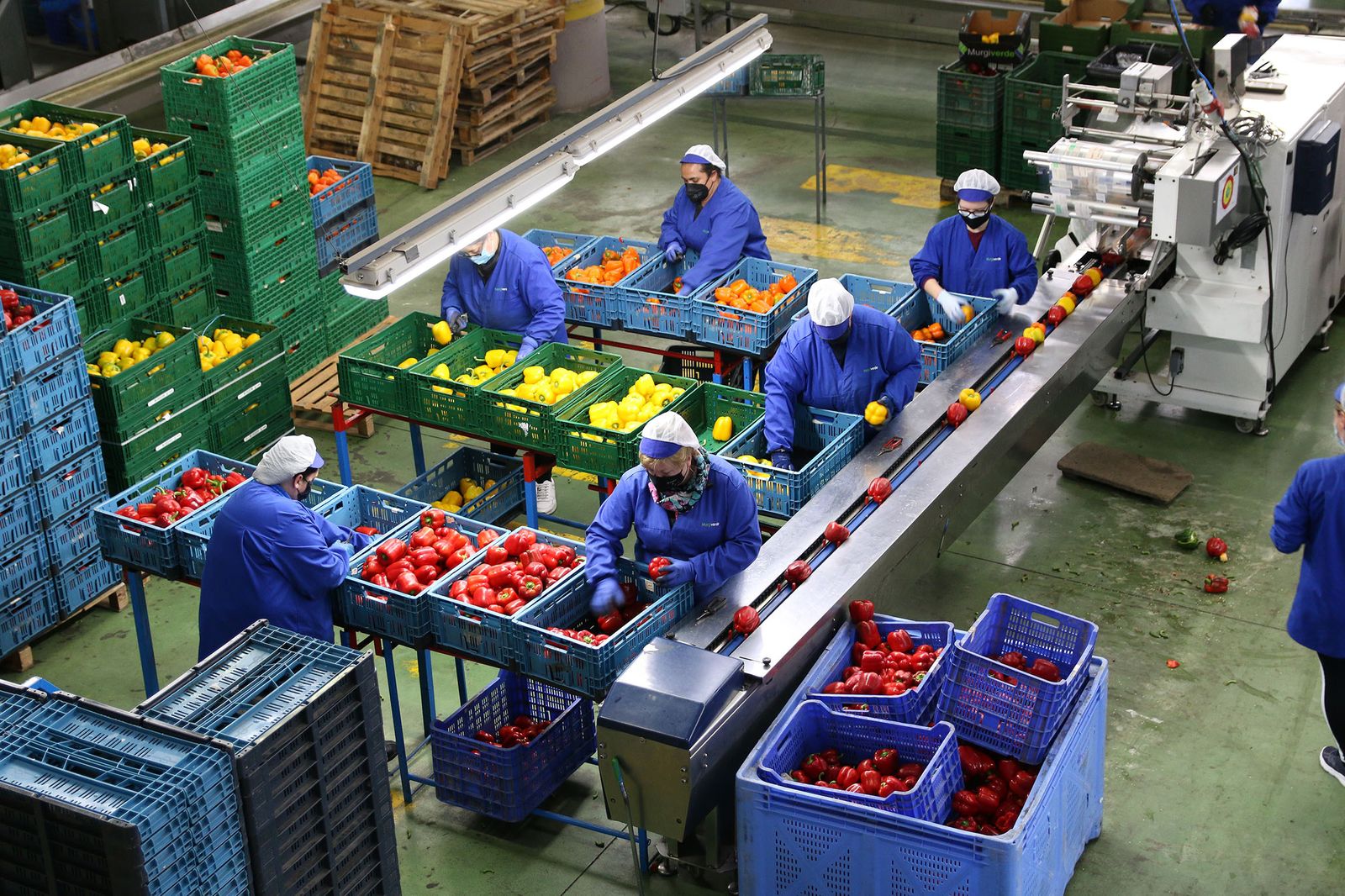 Fotogalería Juanma Moreno visita la cooperativa Murgiverde
