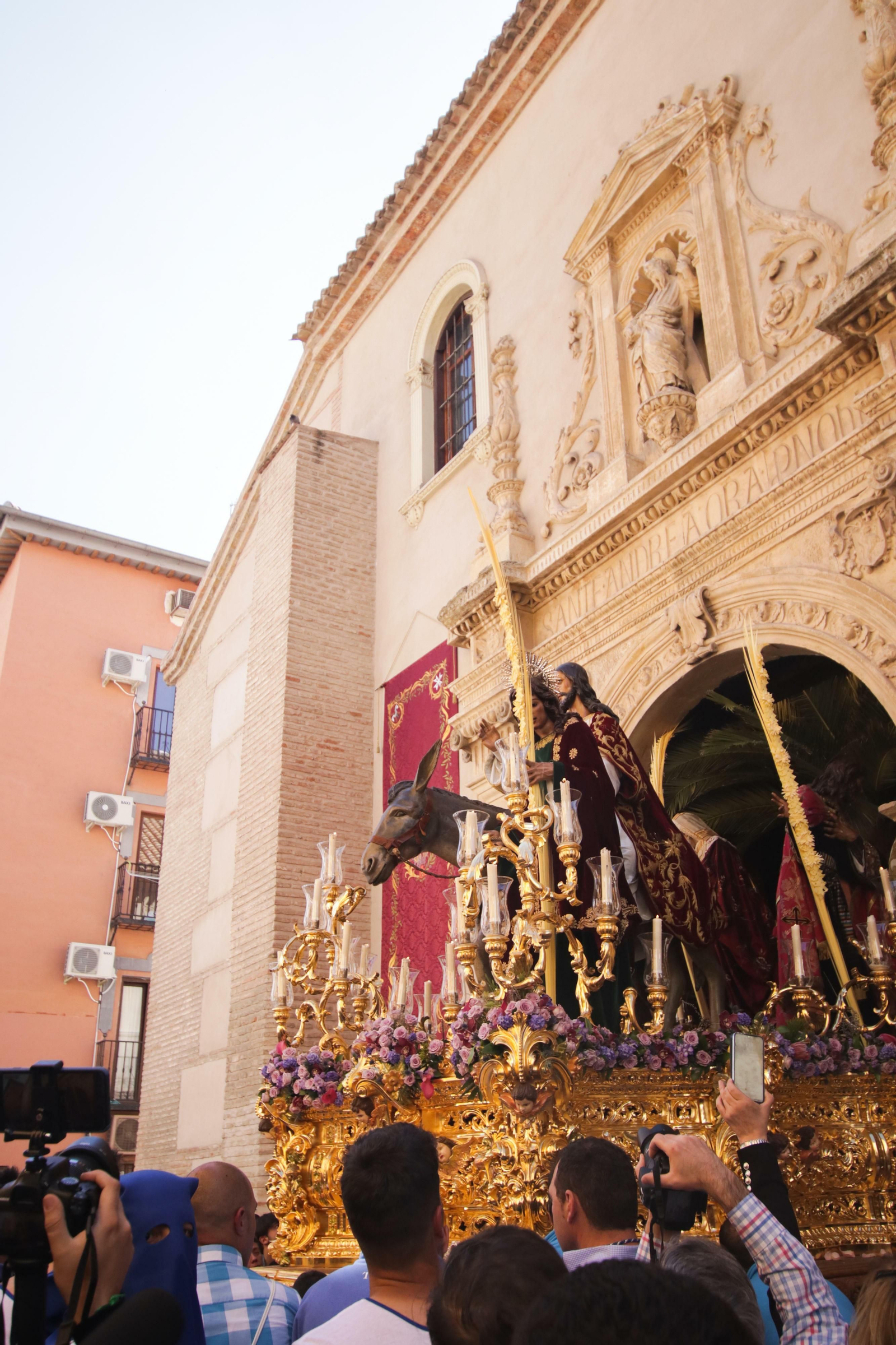 Galería de fotos de La Borriquilla en un soleado Domingo de Ramos