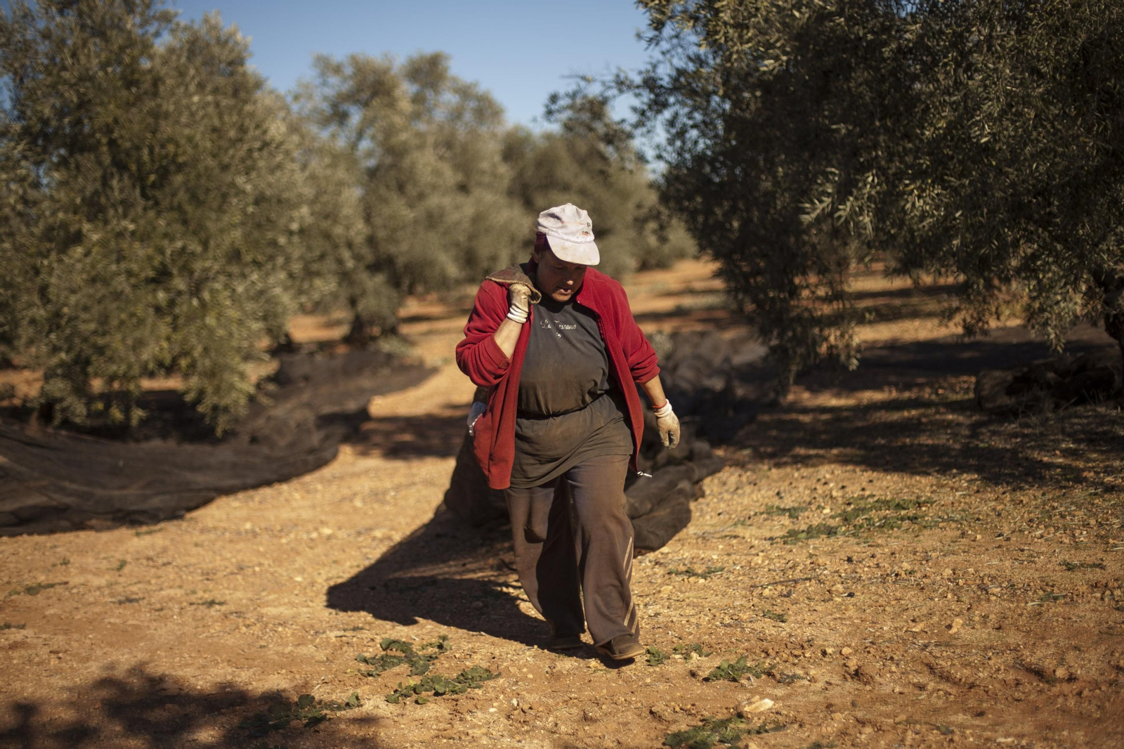 Una trabajadora en las labores del campo.