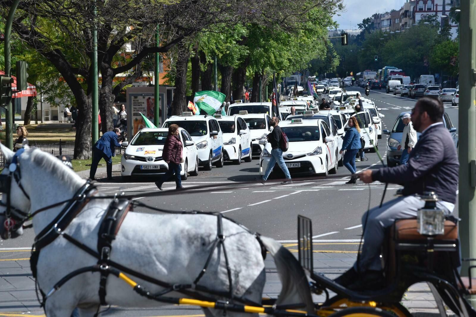 Los taxistas colapsan Sevilla