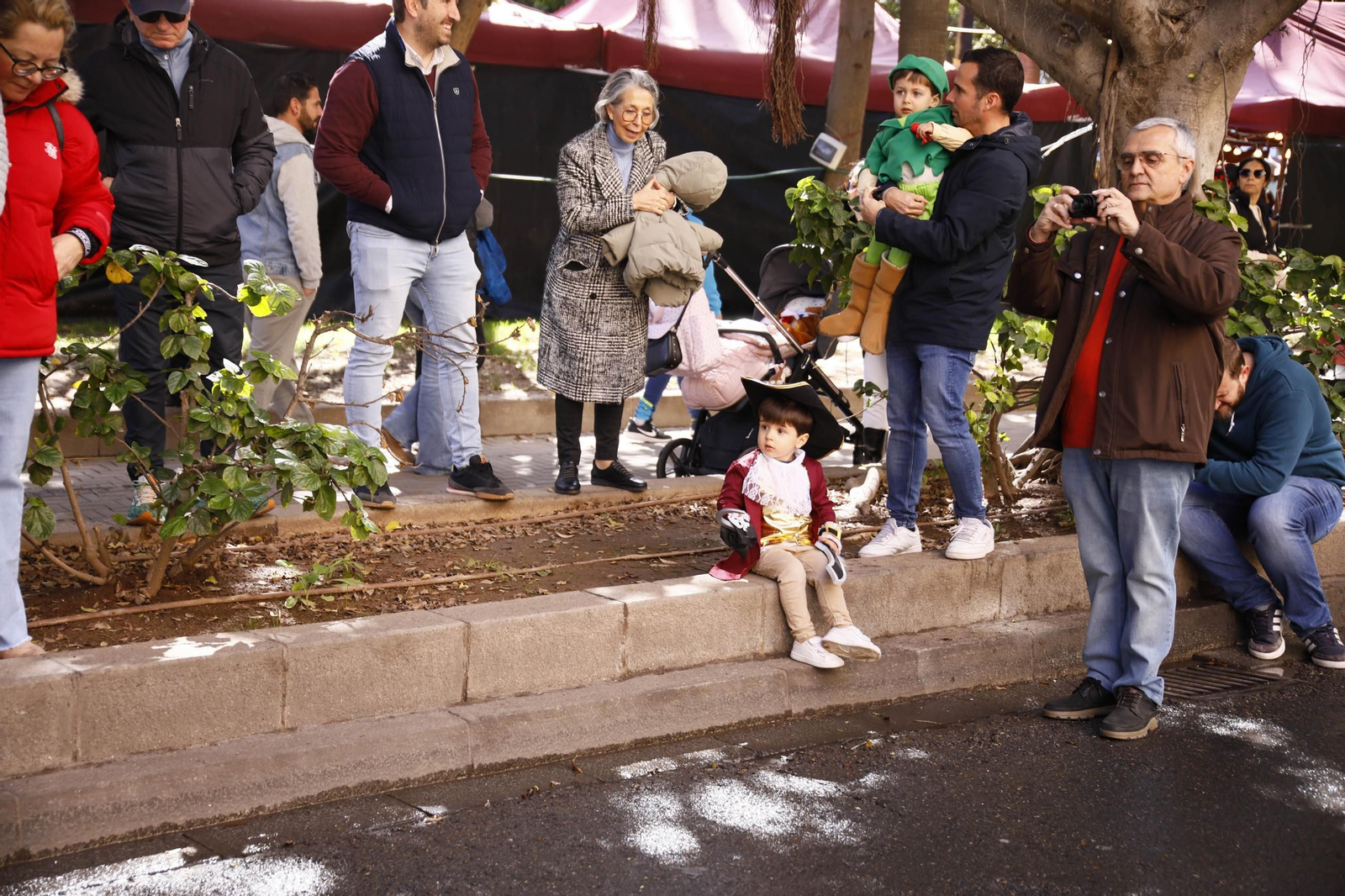 Las imágenes del entierro de la sardina en Almería