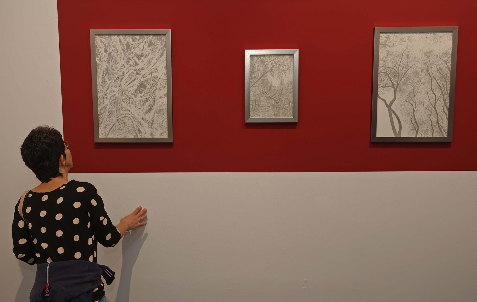 Imágenes de la inauguración de la exposición 'A punta de plata' de Javier Velasco en La Línea