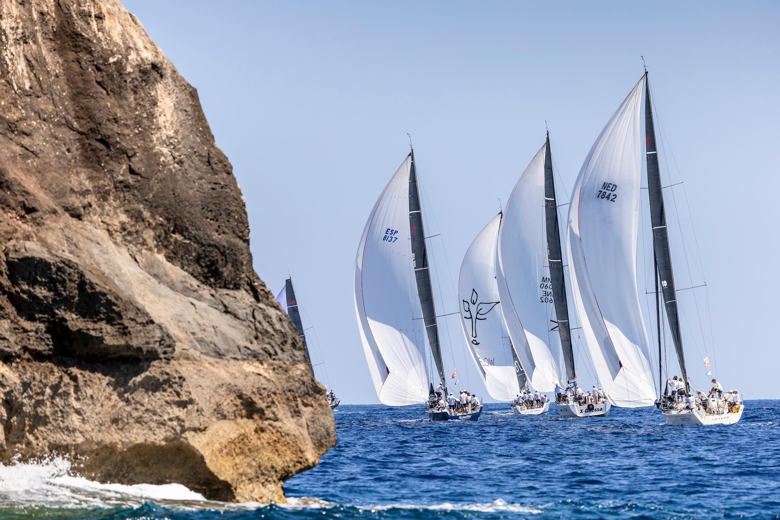 ORCA A Vela Regata (29).jpg