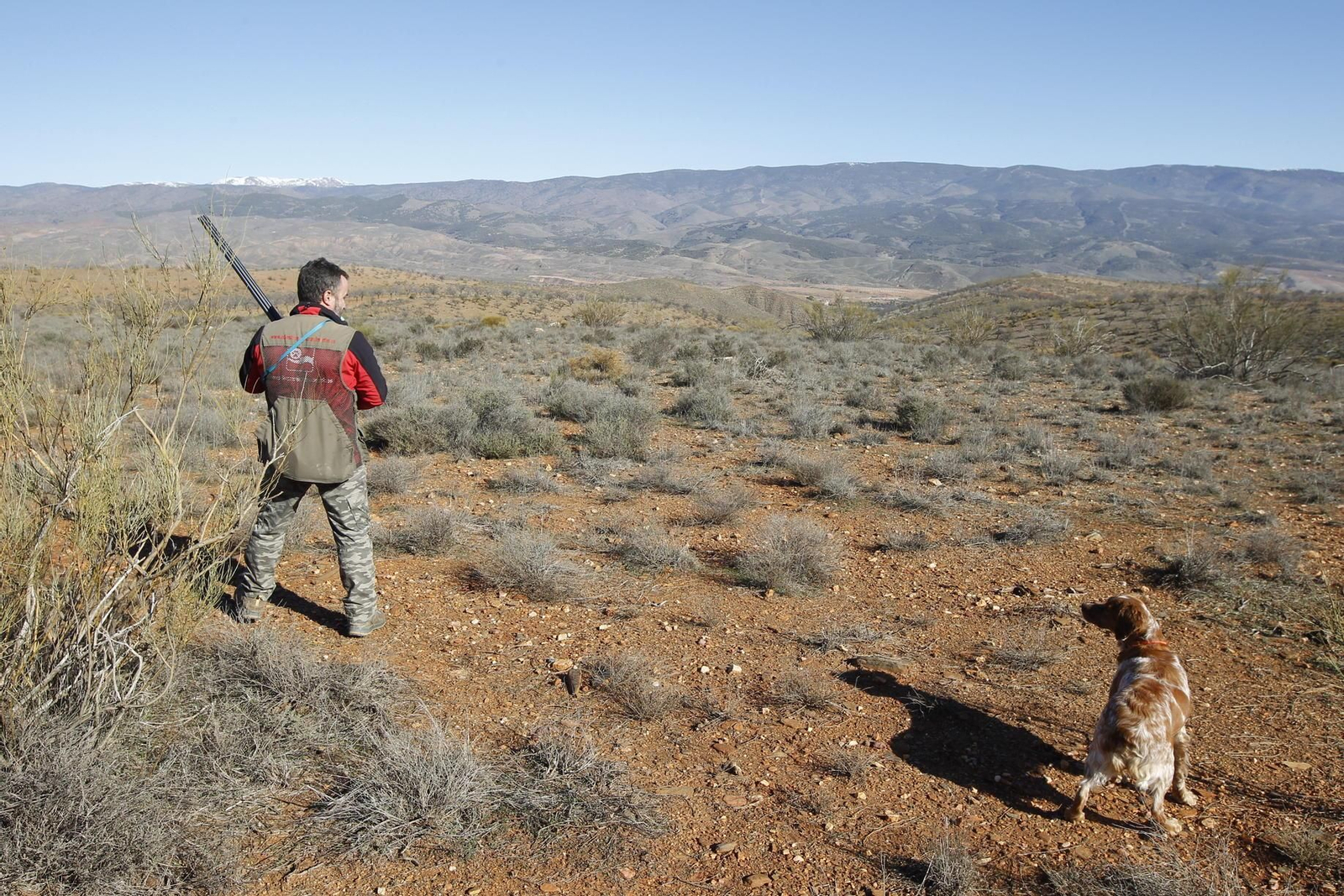 Denuncian la imposibilidad de obtener licencia de caza por un problema técnico