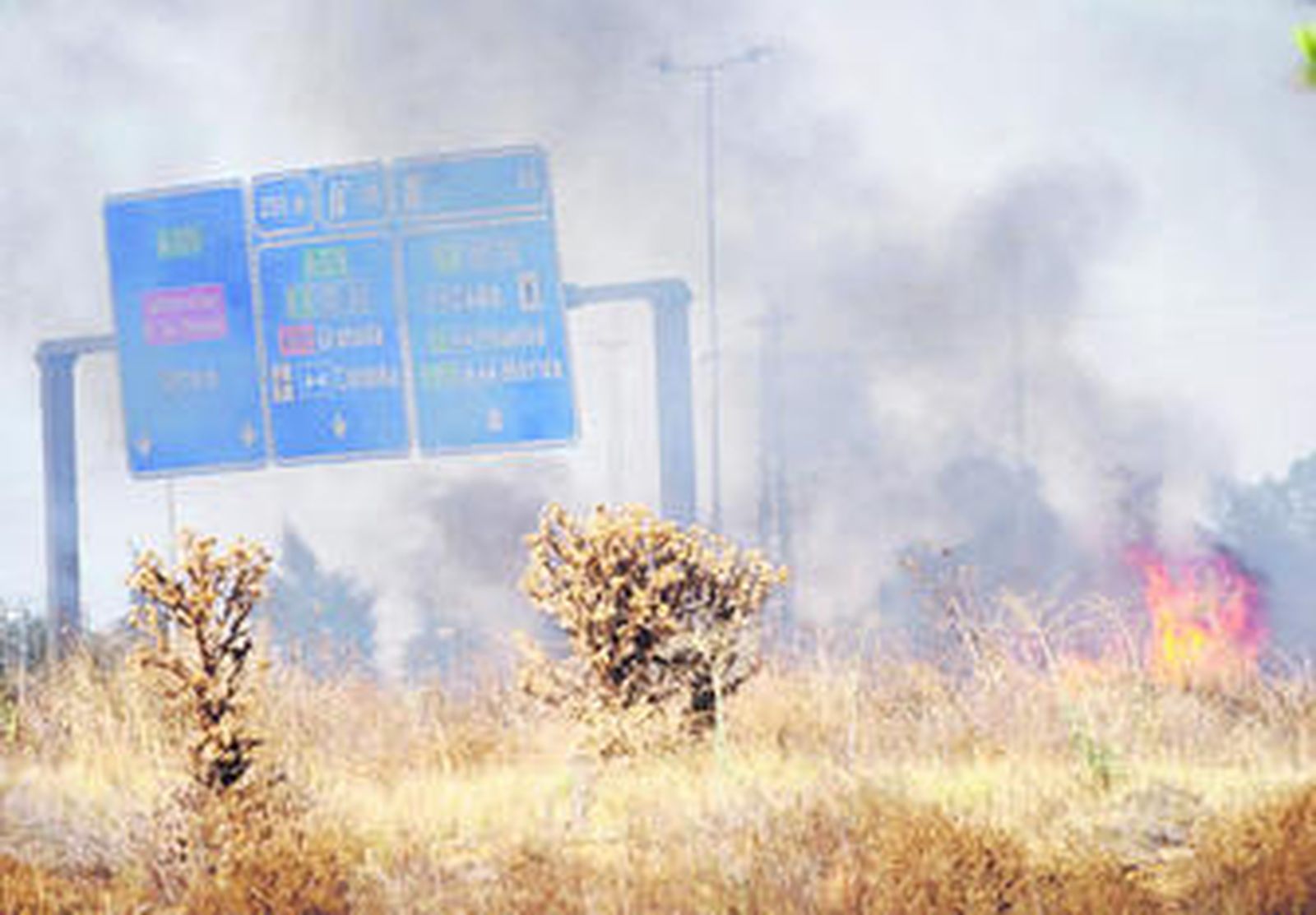 Las llamas se quedaron a pocos metros de la autovía SE-30 y del cruce con la carretera de Utrera.