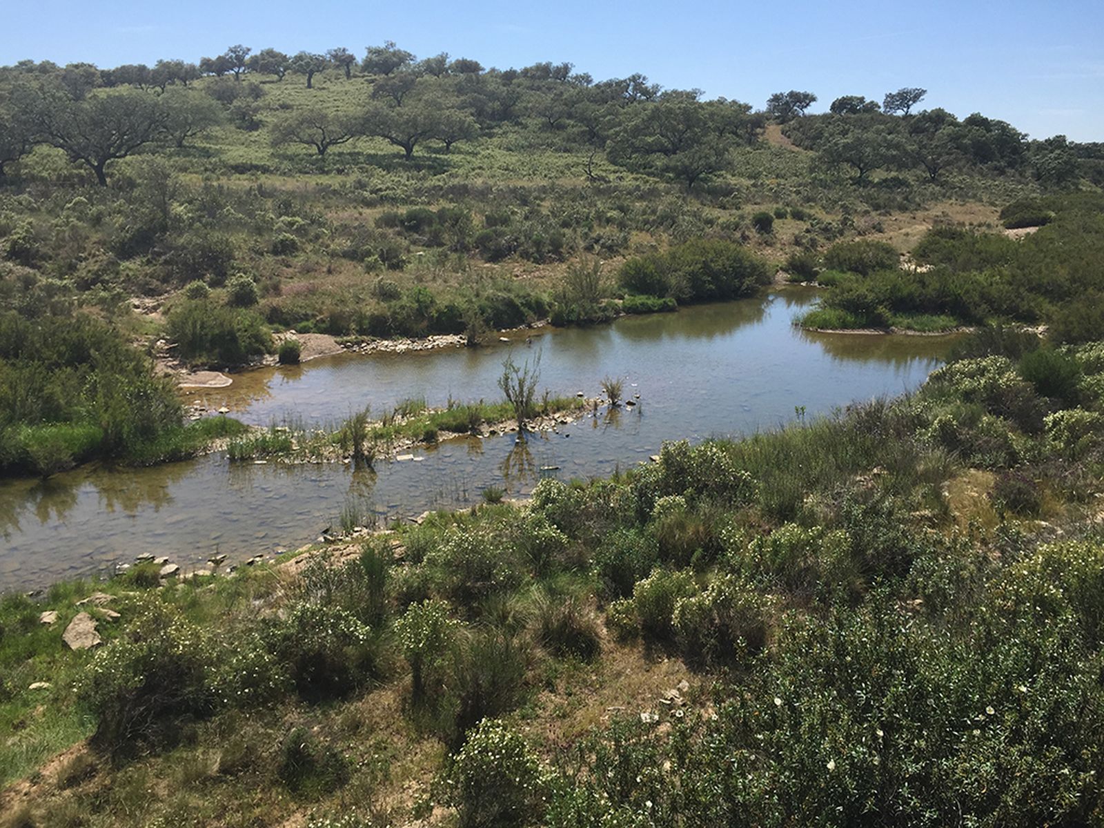 Un paseo por la dehesa del Andévalo: Ruta de Santa Bárbara a Puebla de Guzmán