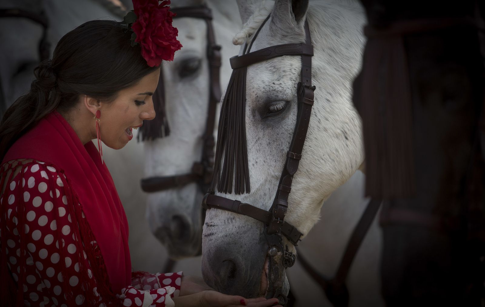 El Jueves de Feria, en imágenes