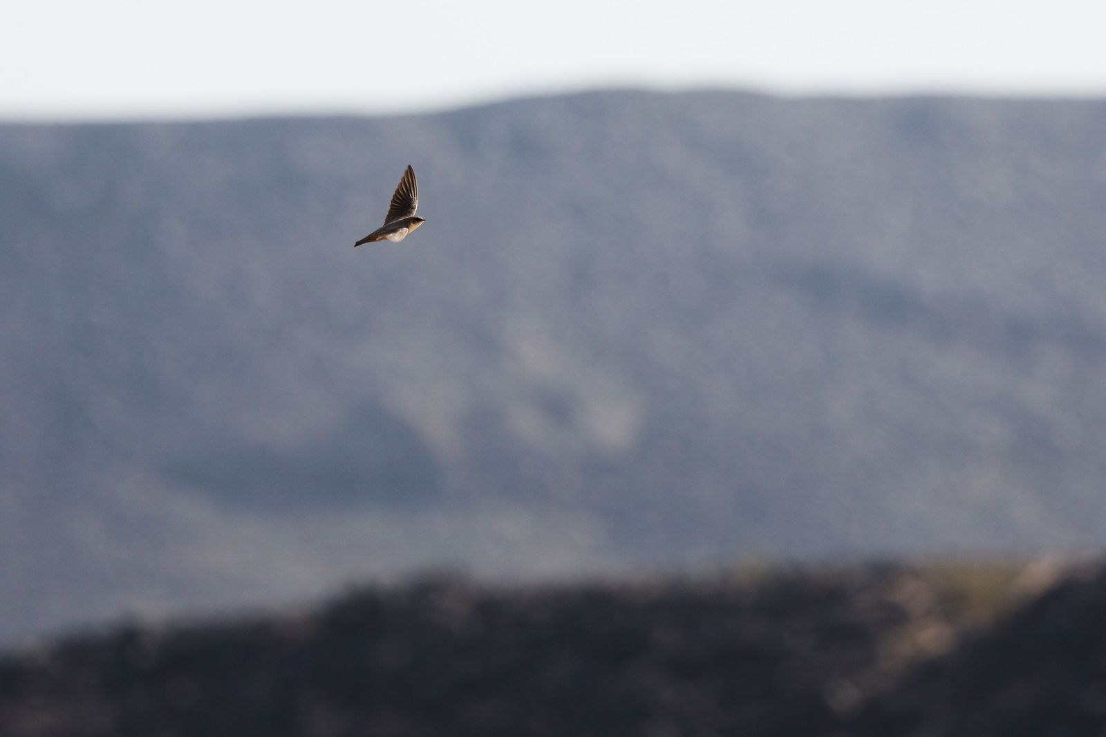 Las mejores fotos del Rally Dakar | Segunda etapa