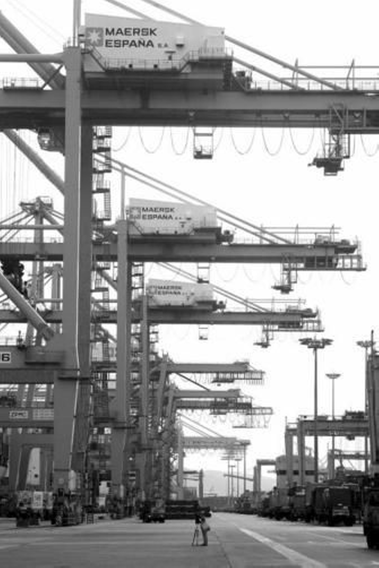 Imagen de las grúas de Maersk en la terminal del puerto de Algeciras.