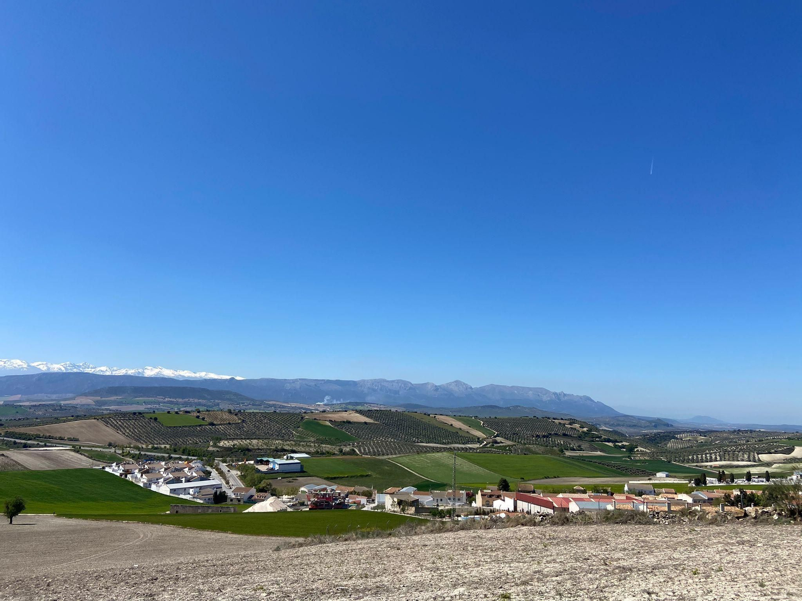 Vista panorámica del municipio de Torre Cardela