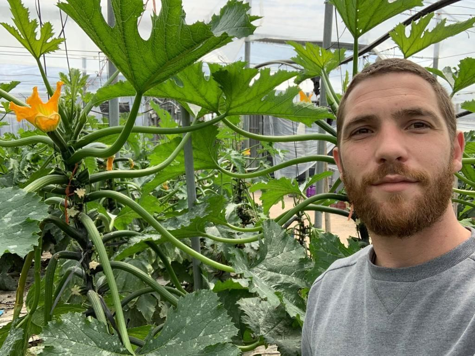 Víctor Maldonado, junto a una lustrosa planta de calabacín.
