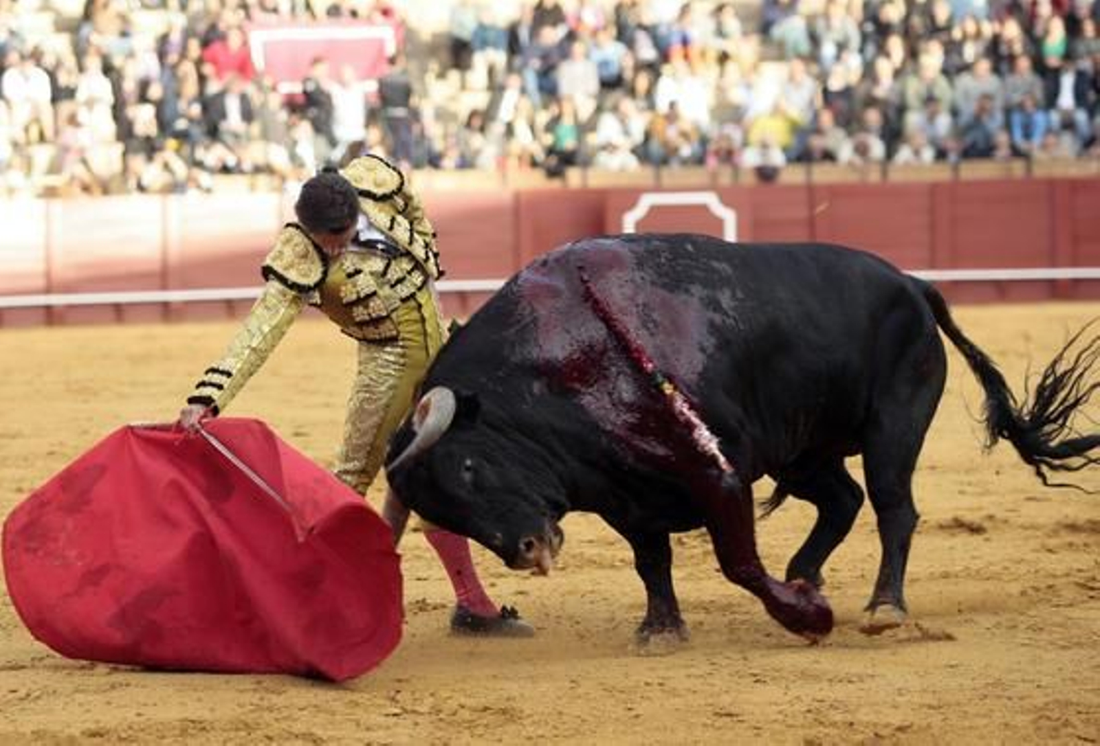 Diego Urdiales, con el cuarto.

Foto: Juan Carlos Muñoz