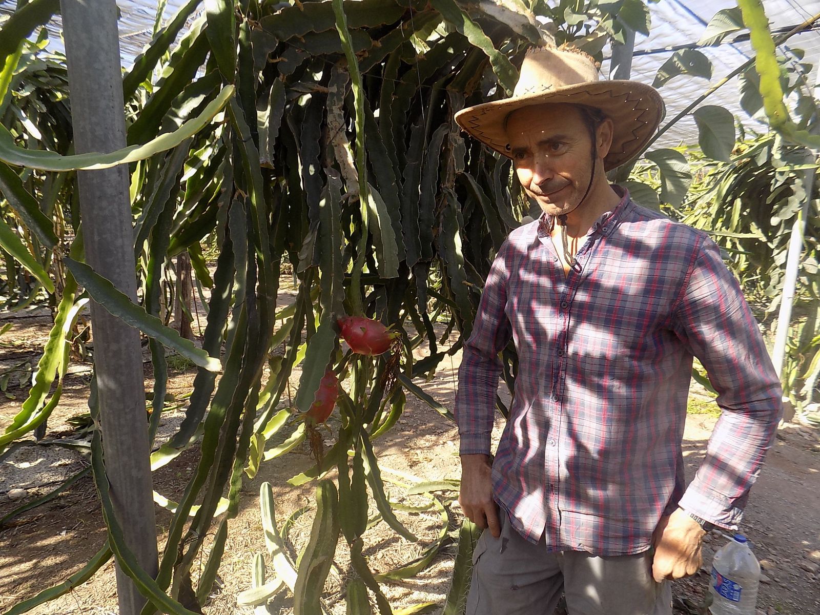 Emilio Salmerón considera que aún le queda mucho que aprender sobre su cultivo, que continuará perfeccionando para mejorar el rendimiento.