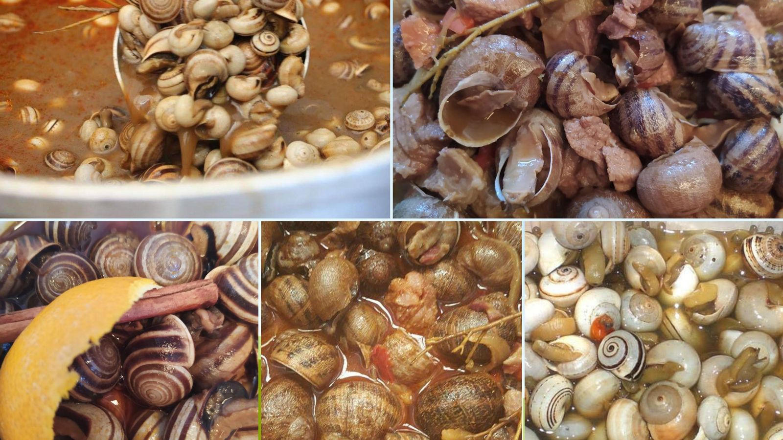 Variedad de caracoles en Casa Silveira