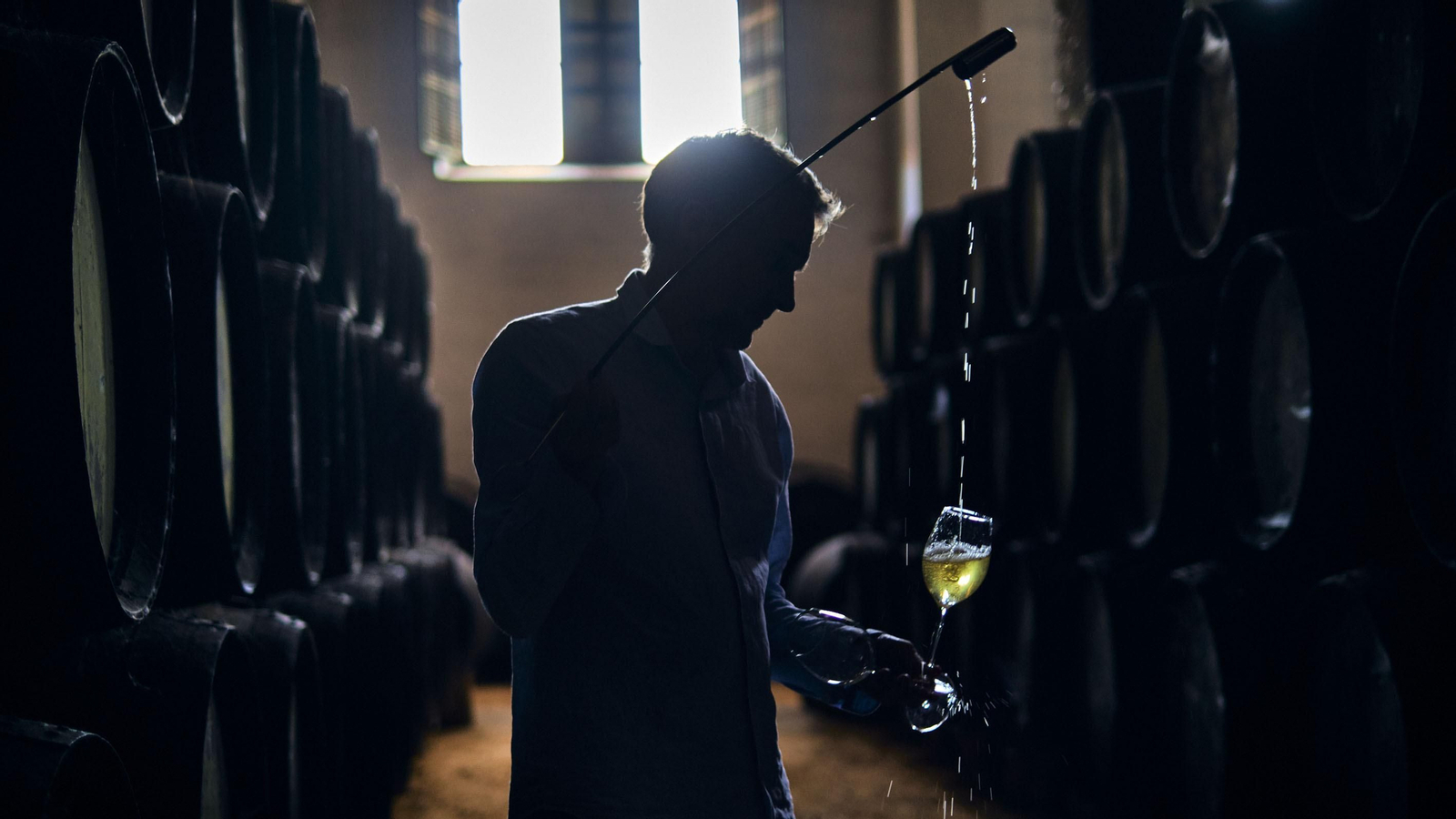 Bodegas Barbadillo / JULIO GONZÁLEZ (Sanlúcar de Barrameda)