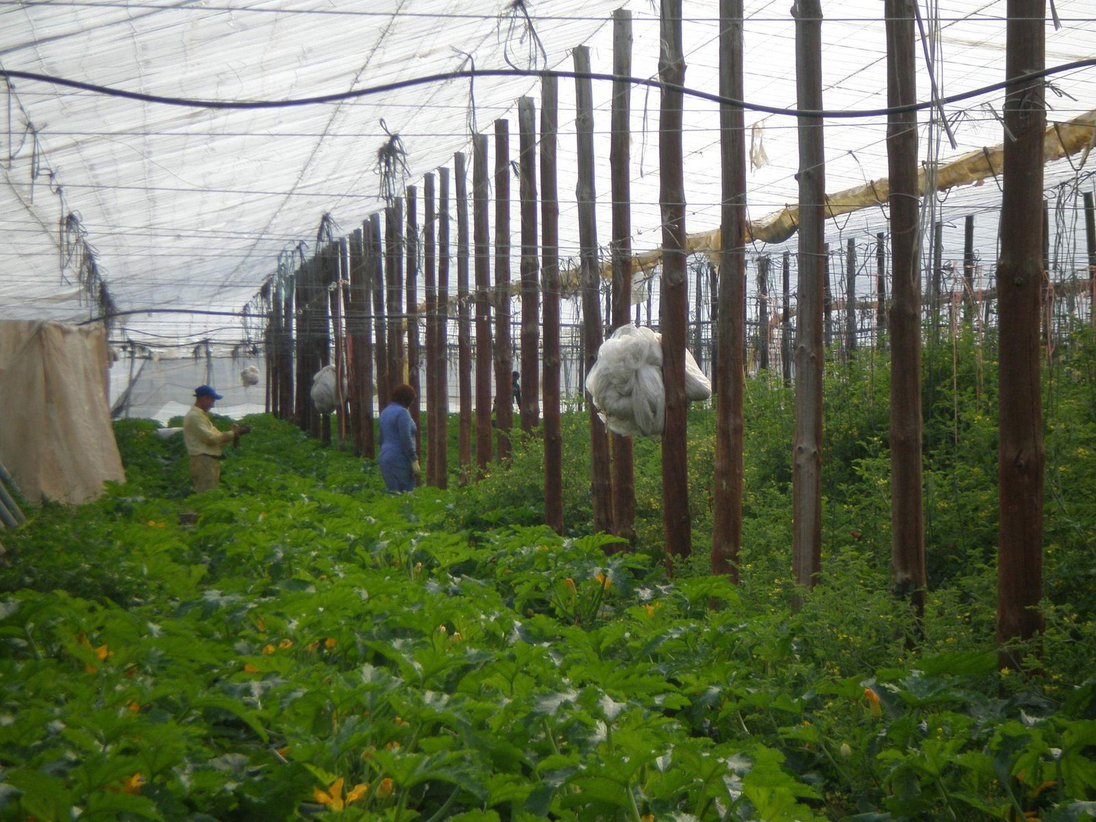 Acceso a las urgencias de El Toyo.