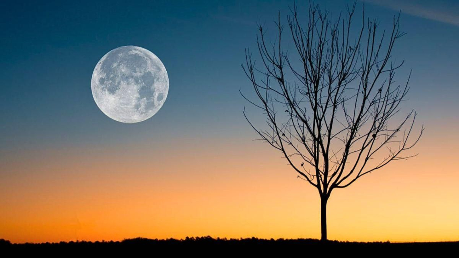 Las Reservas Starlight de Jaén son los enclaves perfectos para ver astros y planetas con telescopios profesionales.