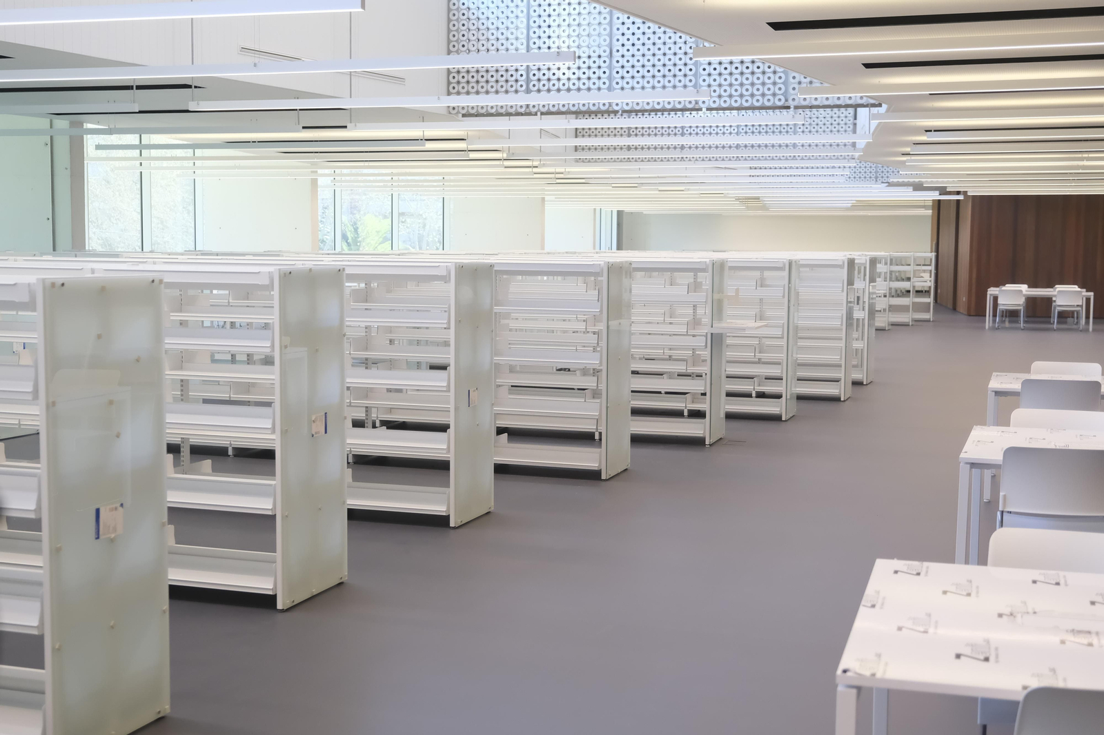 La entrega de la llave de la Biblioteca del Estado de Córdoba, en imágenes