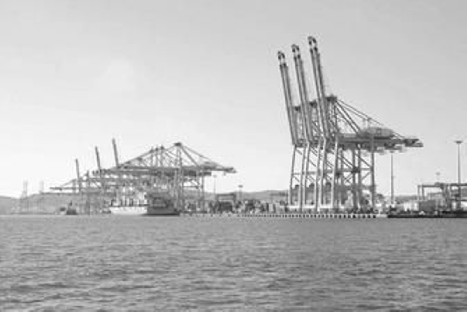 Las grúas de la terminal de contenedores de Maersk, en el puerto de Algeciras.