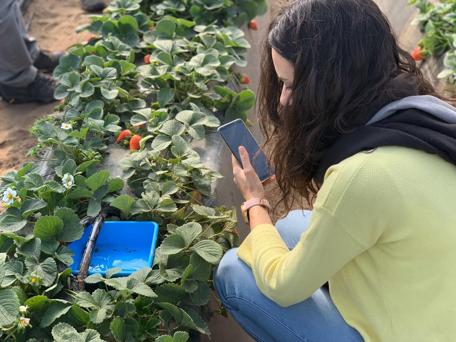 Producción ecológica.