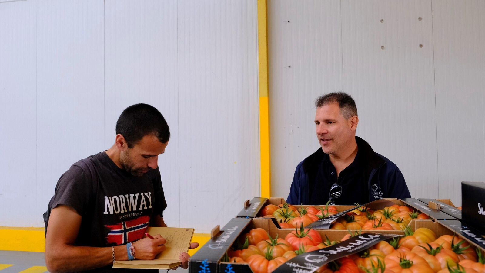 Vea cómo son los tomates almerienses de 'Stella del Cabo'