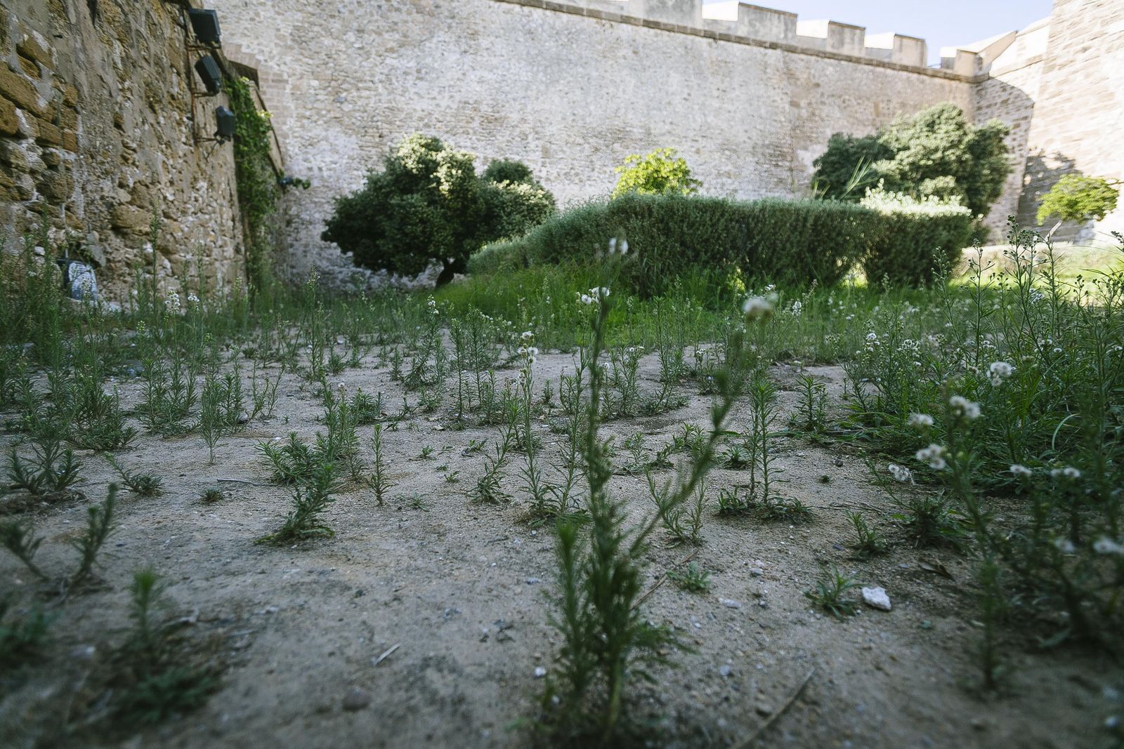 Imagen del foso del Pelíkano, junto a la muralla de la Puerta de Tierra.