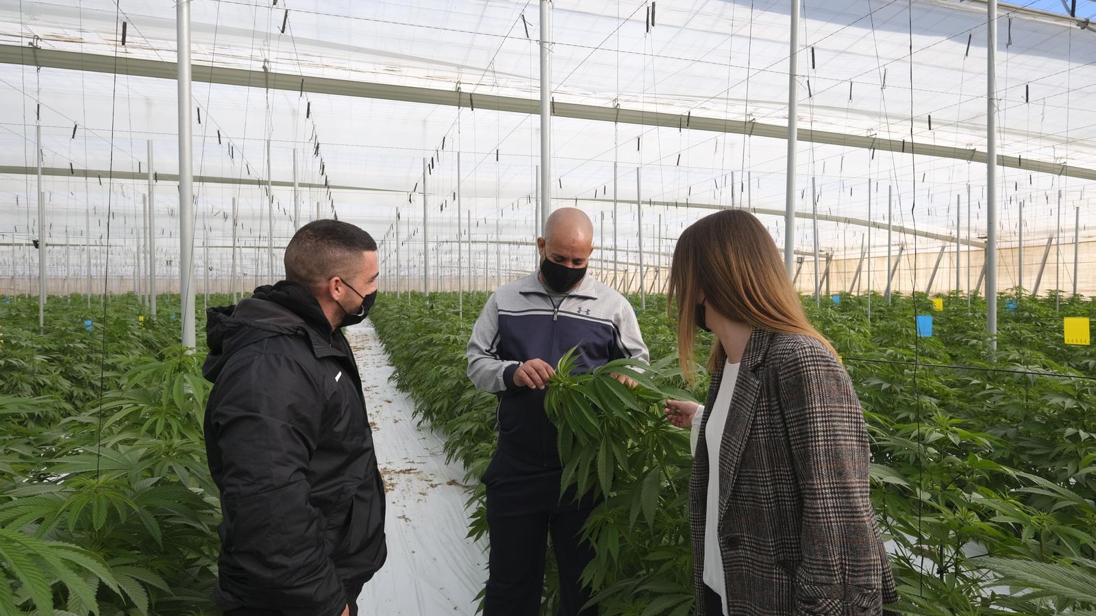 Víctor e Iza escuchan atentos a Abdel Ghani contar sus vivencias como cannabicultor.