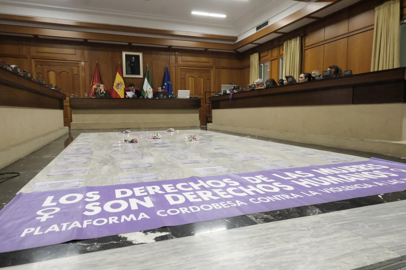 El Pleno del Ayuntamiento de Córdoba contra la violencia a las mujeres, en imágenes