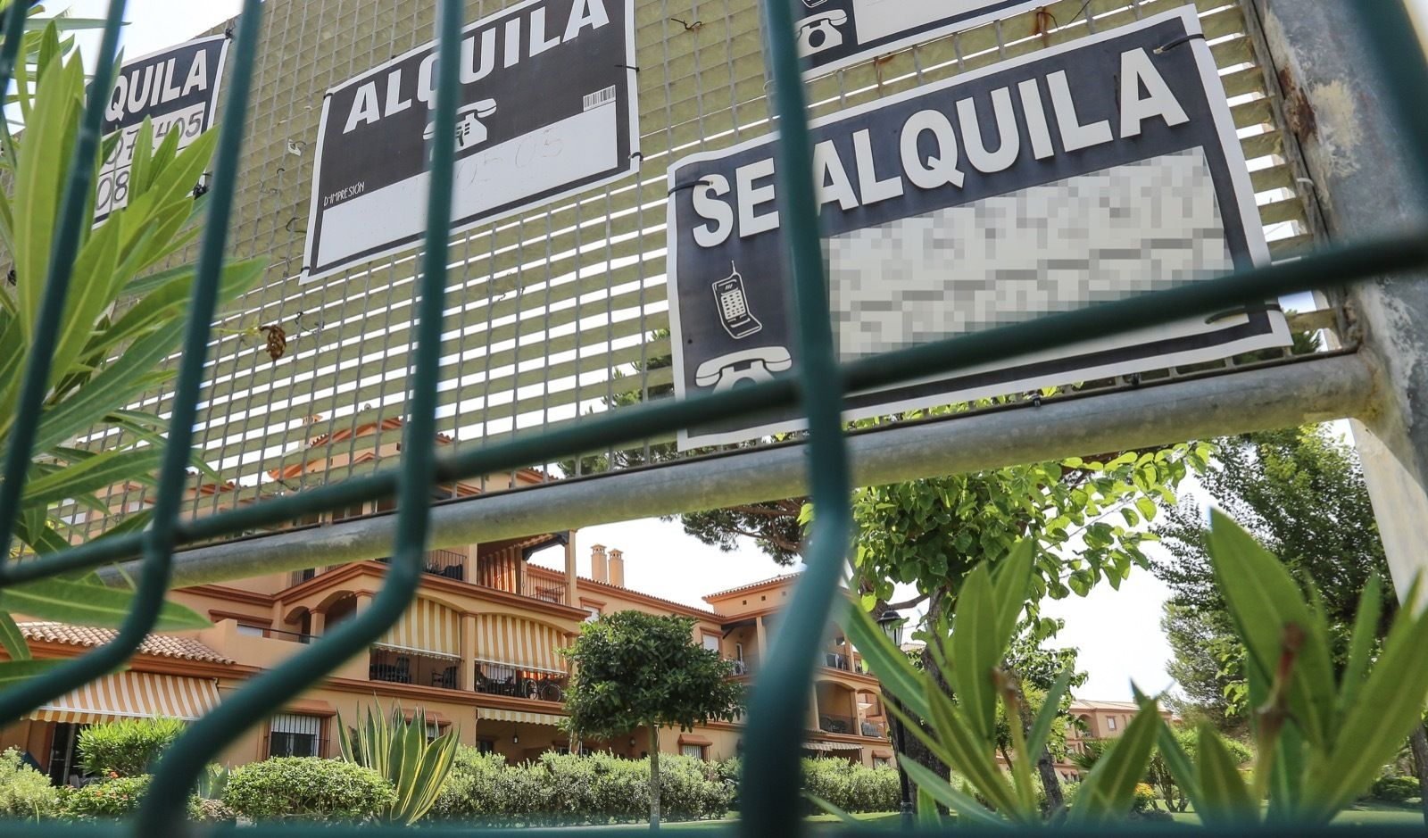 Carteles de alquileres  en una urbanización de Novo Sancti Petri.