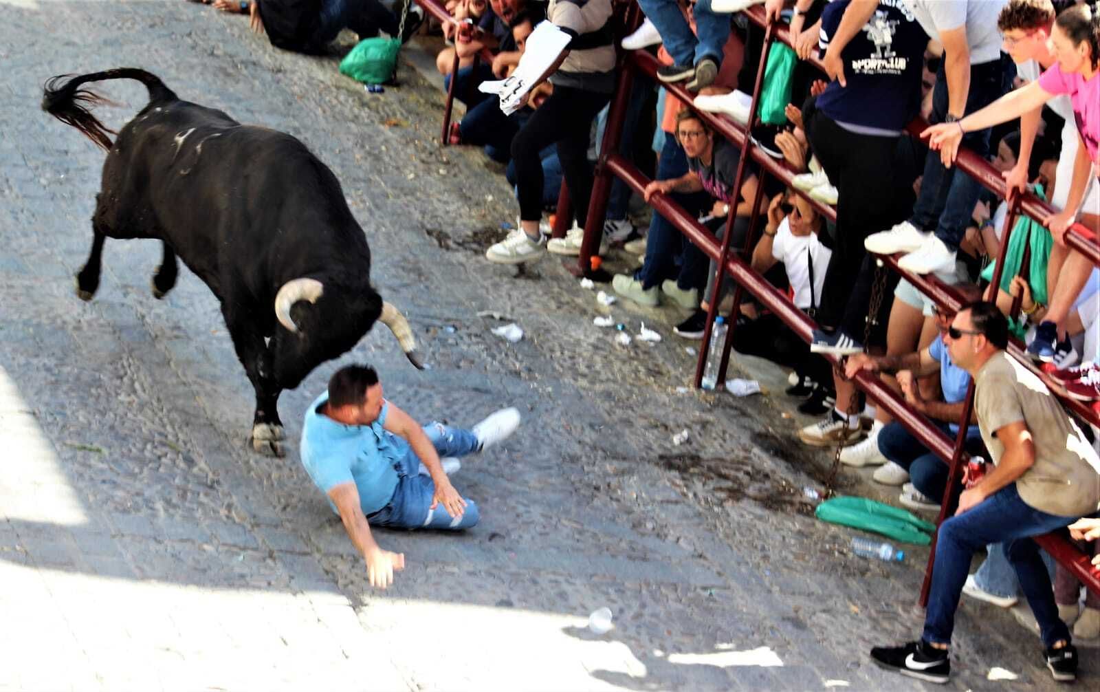 Las imágenes de la celebración del Toro del Aleluya en Arcos 2024
