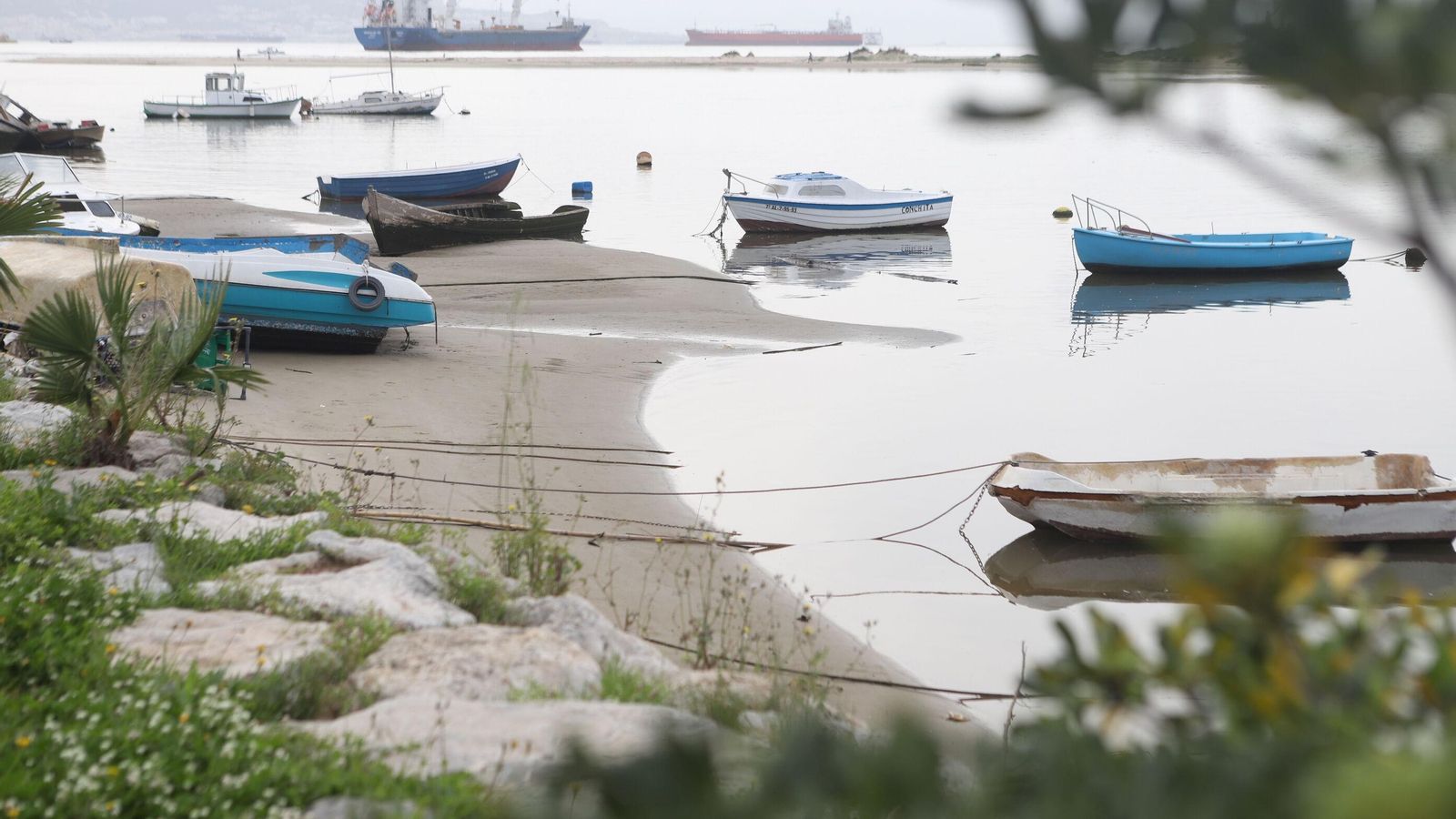La ribera del río Palmones