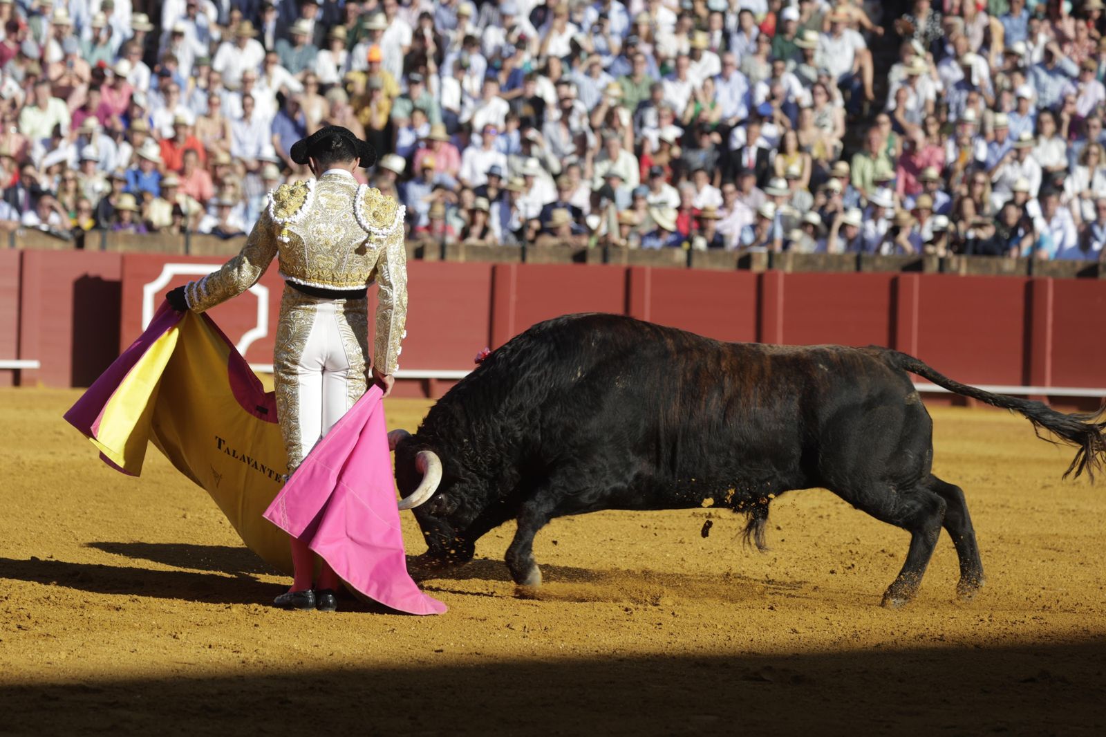 Las imágenes del festejo
