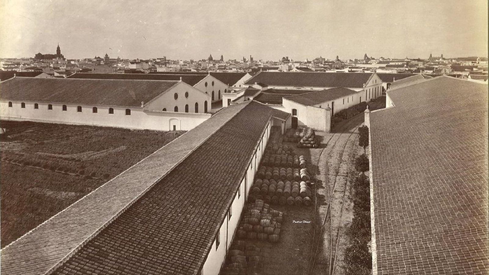 Vista de las imponentes bodegas Misa, foto de Laurent, 1879.
