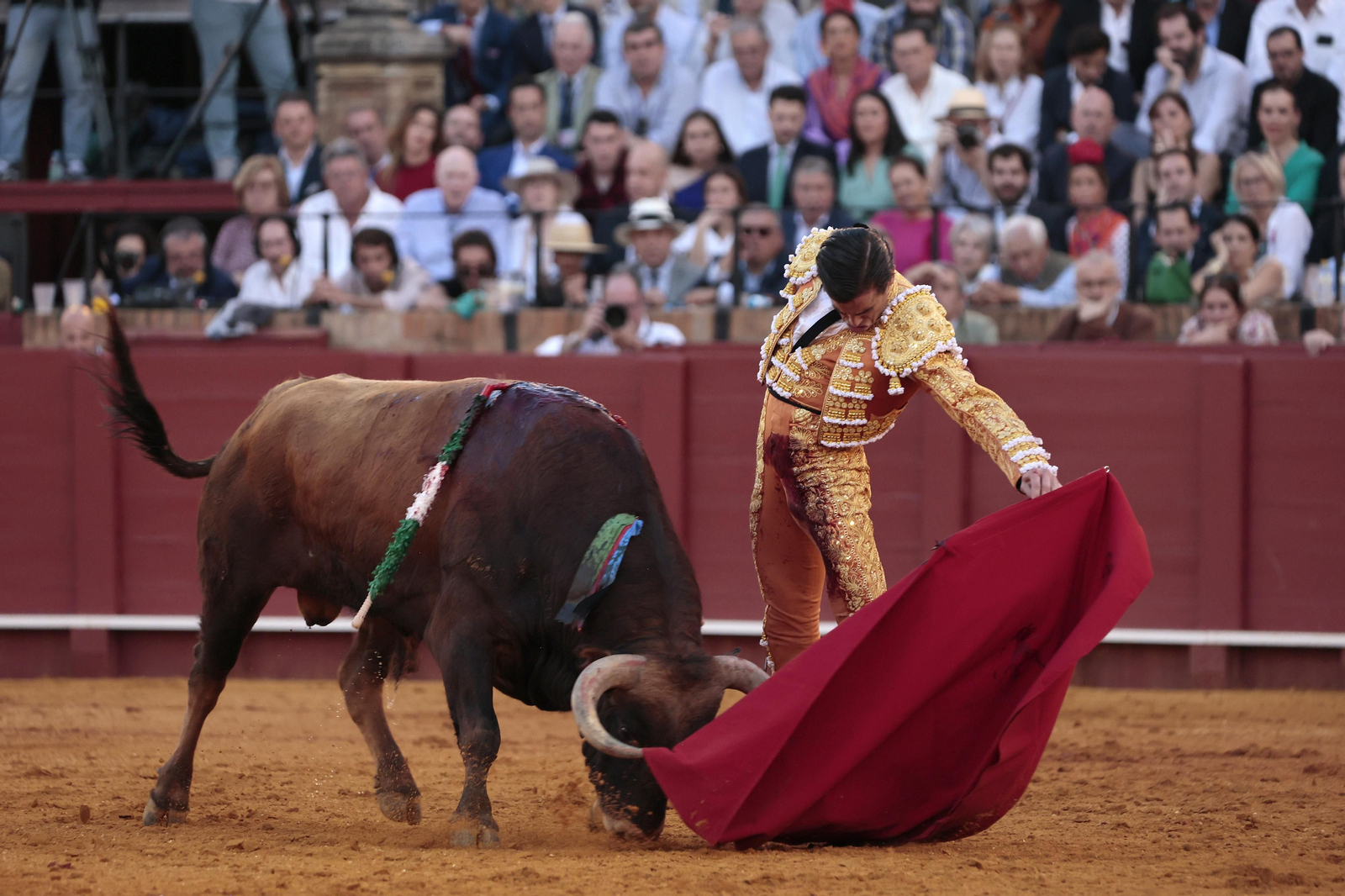 Las imágenes del festejo