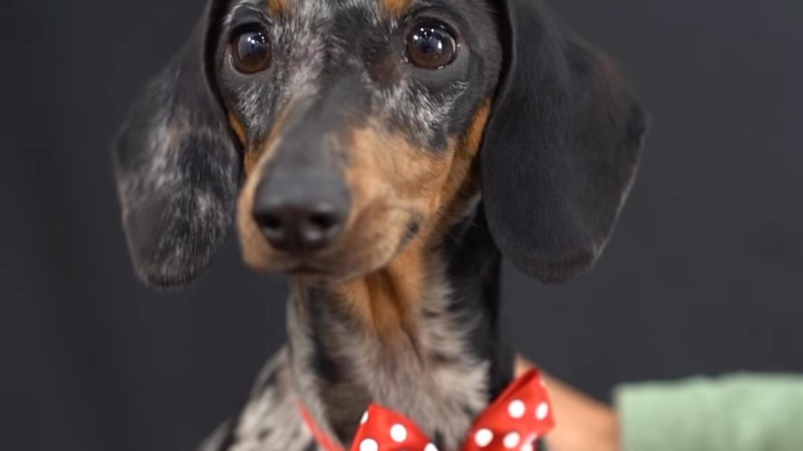 Uno de los momentos de las sesiones que la autora ha compartido en un video en su perfil de Instagram.