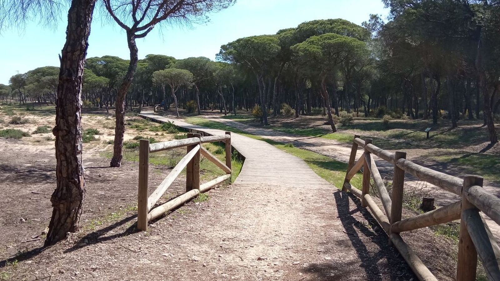 La coqueta pasarela de madera