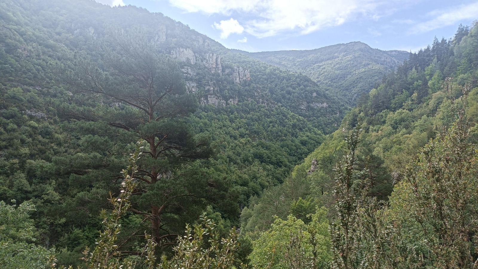 Pasando el Congosto de Obarra.