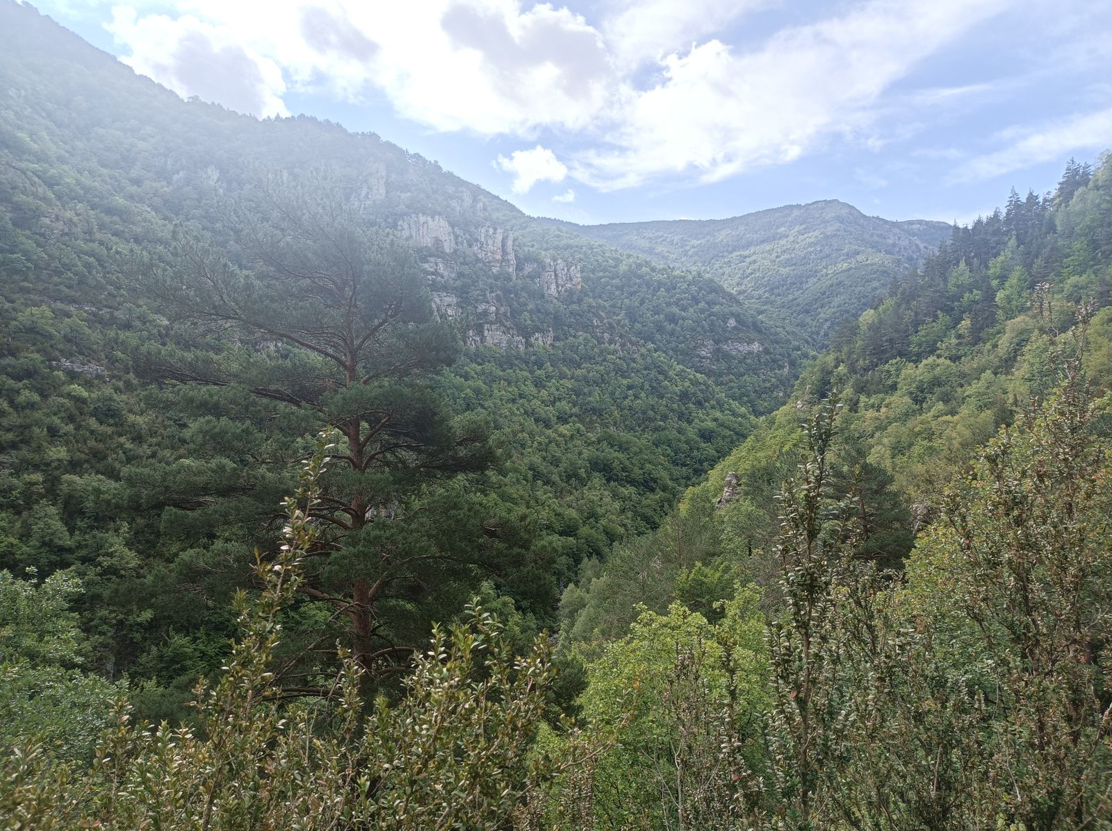 Pasando el Congosto de Obarra.